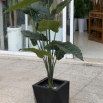 گل  بابا آدم برگ پهن مصنوعی