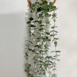 حلقه آویز شمشاد کوچک