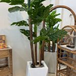 درختچه  برگ انجیری سه تنه مصنوعی