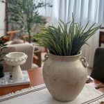 بوته لوندر سبز خاکی