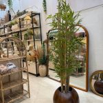 درختچه بامبو 7 شاخه